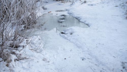Рождественские морозы: до -26 градусов ожидается 7 января в Алтайском крае