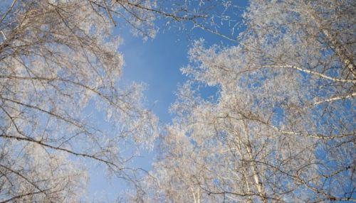 Аномальные холода вновь окутают Алтайский край 9 января