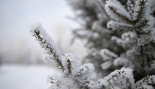 Резкое потепление и метели накроют Алтайский край 11 января