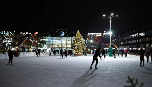 В России предложили включать новогодние каникулы в отпуска
