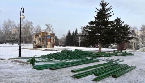 Демонтаж главной елки Барнаула начнется 14 января