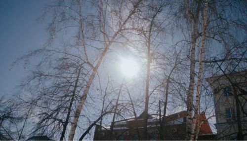 До +7: на выходных в Алтайский край придет оттепель