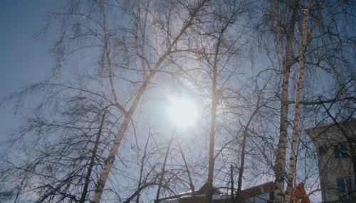 Почти весна: до +3 градусов потеплеет в Алтайском крае в начале рабочей недели