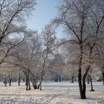 Крещенский мороз до -18 градусов ожидается в Алтайском крае