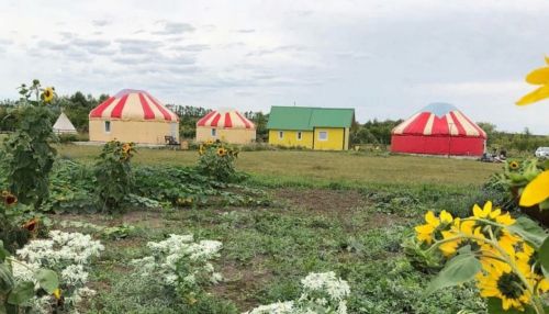 В Алтайском крае сдают в аренду юрты для самоизоляции