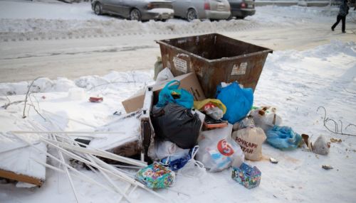 Алтайский край попал в список регионов, где плохо вывозили мусор на праздниках
