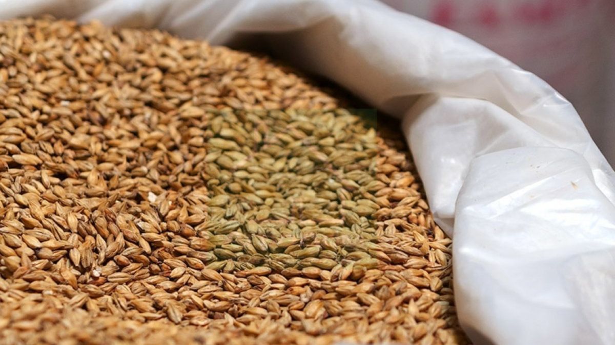 Алтайский край не может отправить зерно в Китай из-за новой упаковки