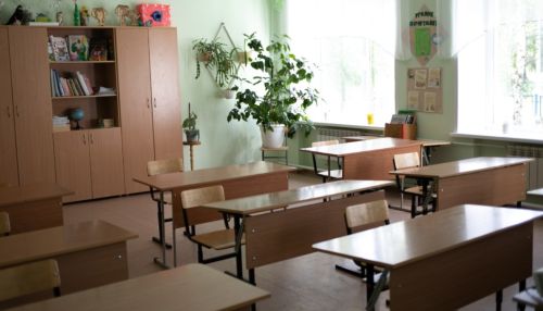Вирус или отравление: в школе Барнаула несколько учеников слегли с температурой