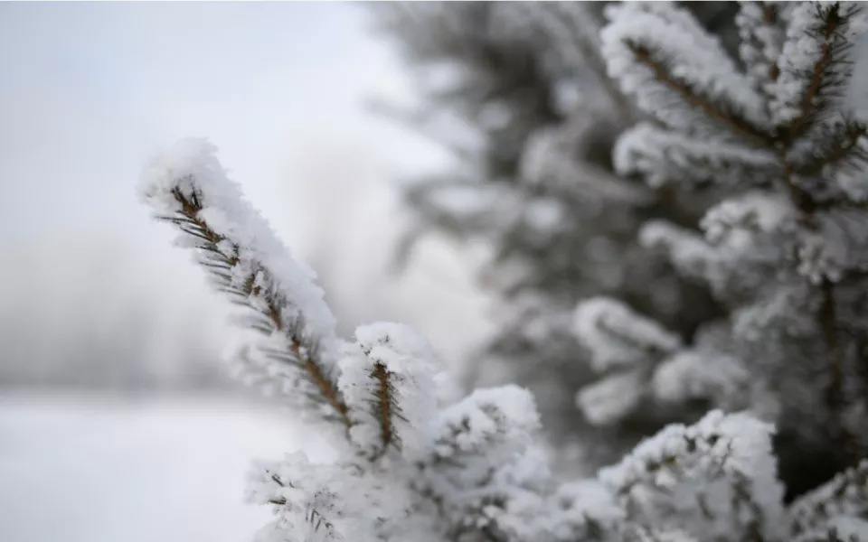 Гидрометцентр спрогнозировал резкое похолодание в Алтайском крае