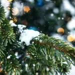 Снег и небольшой минус: какая будет погода в новогоднюю ночь в Барнауле