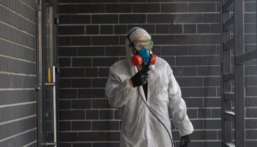193 новых зараженных и 14 смертей: последние данные по COVID в Алтайском крае