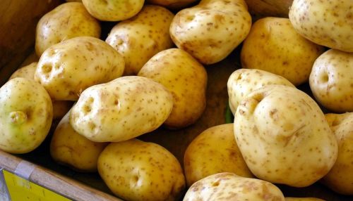 Россиян предложили кормить картошкой экономкласса