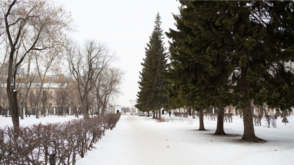 Снег, метели и всего -3 градуса ожидается 28 января в Алтайском крае