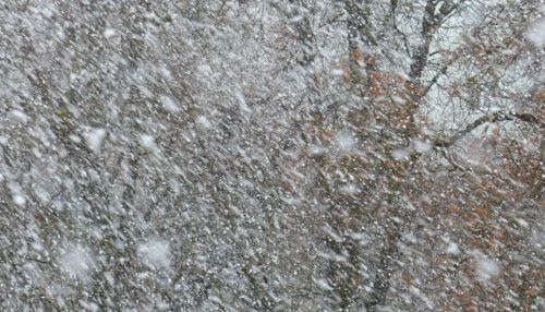Алтайские трассы заметает снегом: где ограничено движение