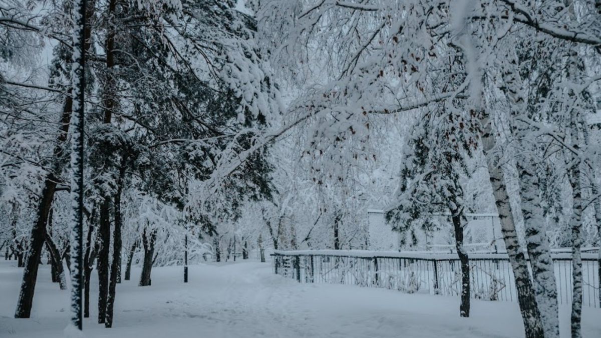 Небольшое похолодание: синоптики рассказали о погоде в Алтайском крае 31 января