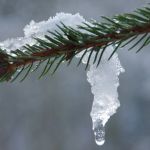 Синоптик пообещал Алтайскому краю резкое и продолжительное тепло в феврале