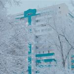 Мороз до -12 градусов и южный ветер ожидаются 2 февраля в Алтайском крае