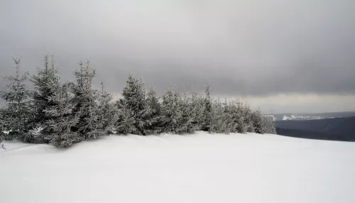 В Алтайском крае продлили штормпрогноз из-за сильного ветра и снега