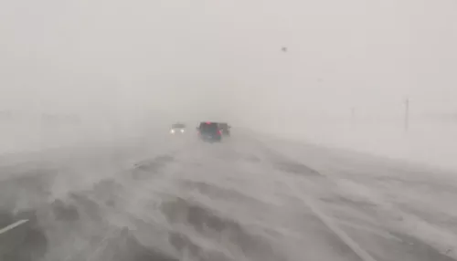 Снег, метели и штормовой ветер: непогода накроет Алтайский край уже к вечеру 7 ноября