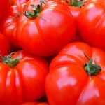 Россельхознадзор РФ разрешил поставку томатов с 12 предприятий Азербайджана