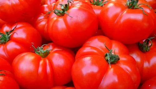 В Алтайский край пытались ввезти зараженные томаты и хризантемы