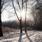 Синоптики пообещали теплый февраль в Алтайском крае