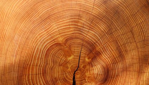 Минпромторг предложил уменьшить экспорт древесины из-за спроса на мебель