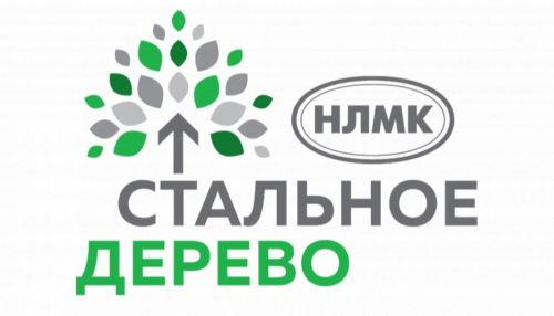 Жители Заринска могут принять участие в программе Стальное дерево