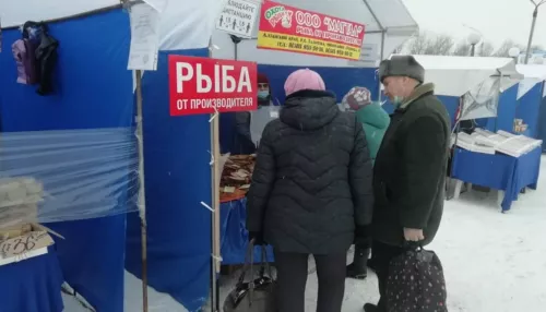 В Барнауле пройдут предновогодние продуктовые ярмарки