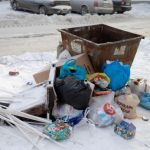 Алтайский край оказался в числе самых мусорных регионов