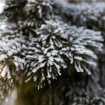 Непогода сменится похолоданием 9 февраля в Алтайском крае