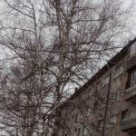 В Барнауле частично обвалилась крыша жилой пятиэтажки