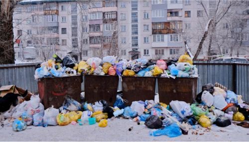 Бийску грозит мусорный коллапс из-за завалов снега