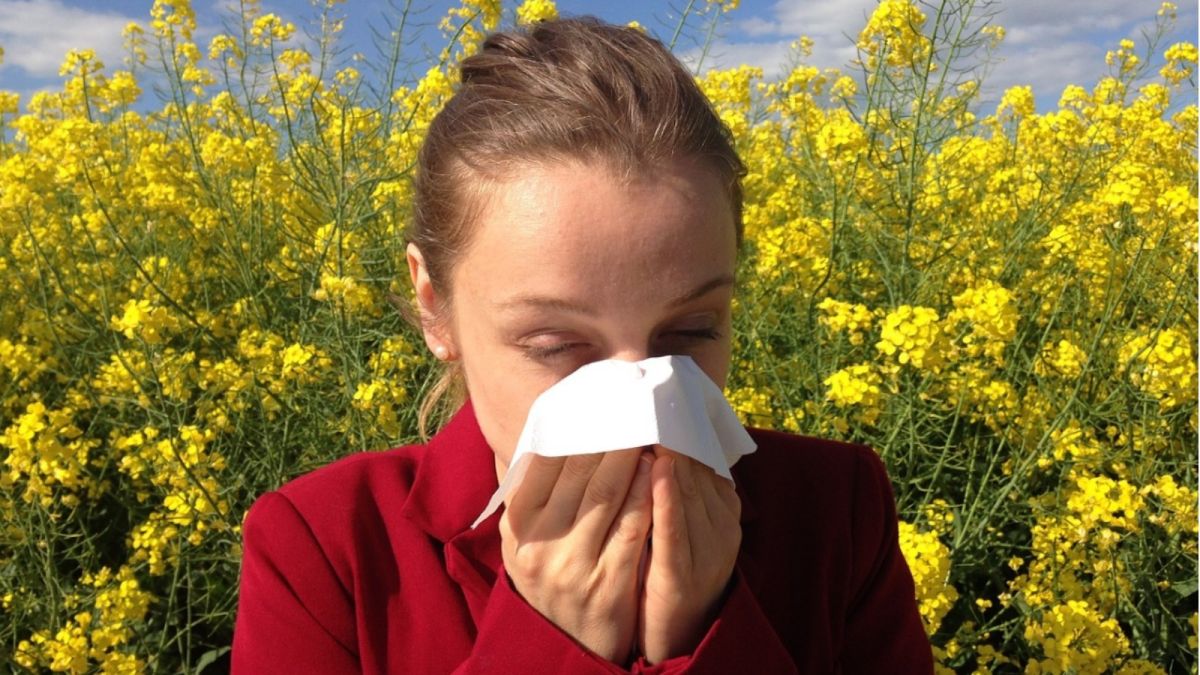 Американские ученые выяснили причину развития всемирной эпидемии аллергии
