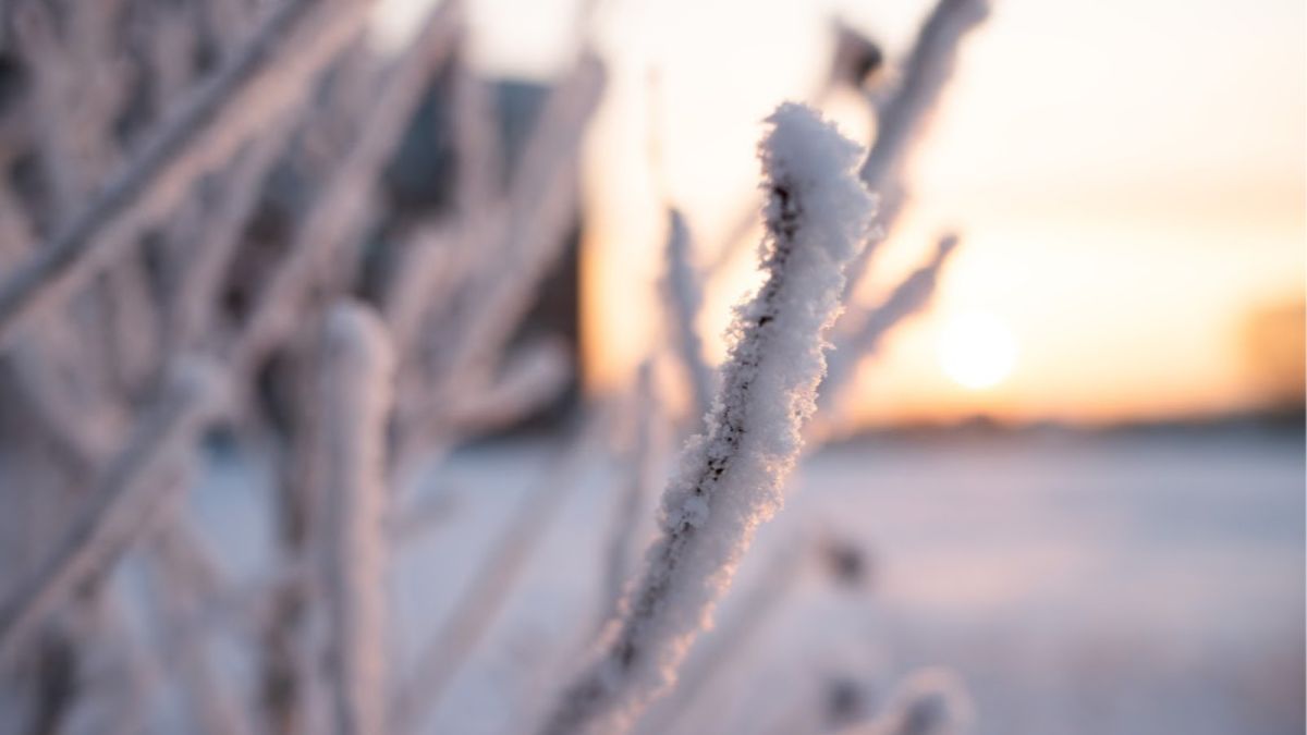 Похолодание до -35 придет в Алтайский край в ближайшие три дня