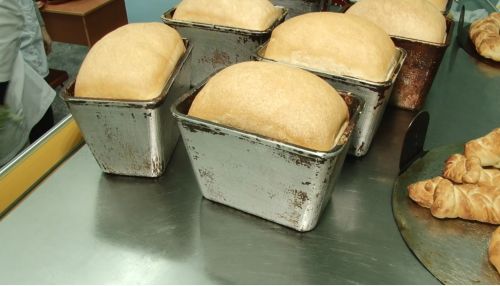 Алтайские ученые разработали хлеб по альтернативному рецепту