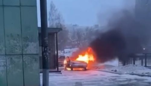 Утро не задалось: автомобиль дотла сгорел возле Норд-Веста в Барнауле