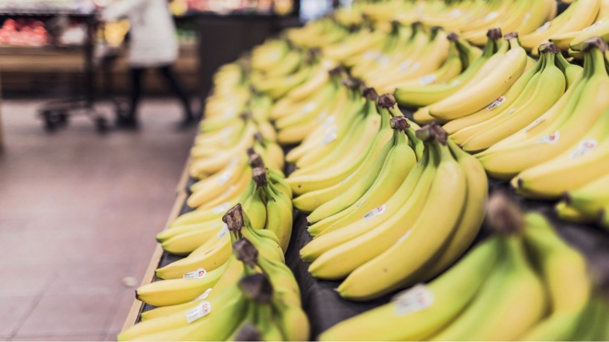 Эксперты: бананы резко подорожают на российских прилавках