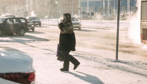 Жителей Барнаула и Бийска предупреждают о загрязнении воздуха из-за мороза