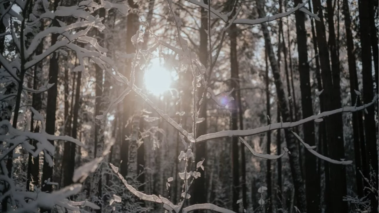 Жителей Алтайского края на выходных ждет погодный скачок с +3 до -24 градусов