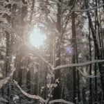 От +3 до -20: температурные качели продолжатся в Барнауле на новой неделе