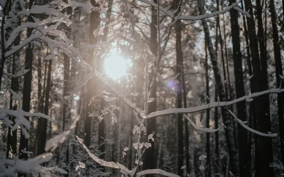 Жителей Алтайского края на выходных ждет погодный скачок с 3 до -24 градусов