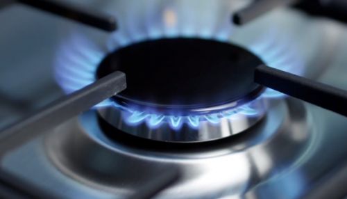 Алтайский МФЦ стал заключать договоры на поставку бытового газа