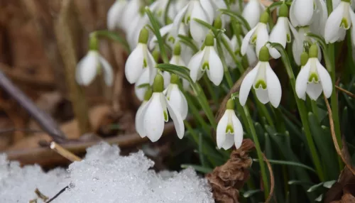 Народные приметы на 7 февраля: как сделать жизнь богаче и слаще