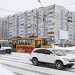 В Барнауле встали трамваи из-за упавшего на провода дерева