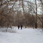 Барнаульские общественники всерьез взялись за заброшенный парк Юбилейный