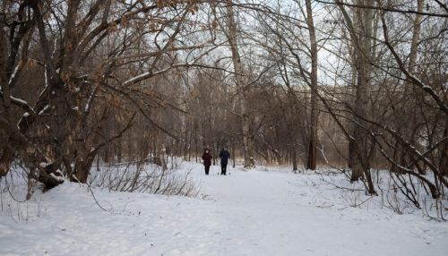 Барнаульские общественники всерьез взялись за заброшенный парк Юбилейный