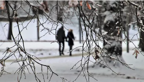 Мокрый снег и метели придут в выходные в Алтайский край