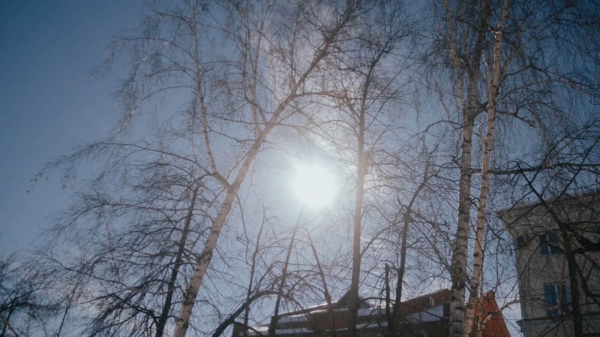 Весеннее тепло придет в Алтайский край на праздник 8 Марта 