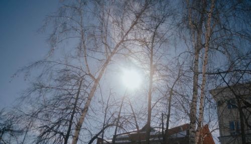 Весеннее тепло придет в Алтайский край на праздник 8 Марта